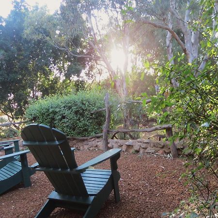 Bentwood Olive Grove Accommodation Greenough Oda fotoğraf