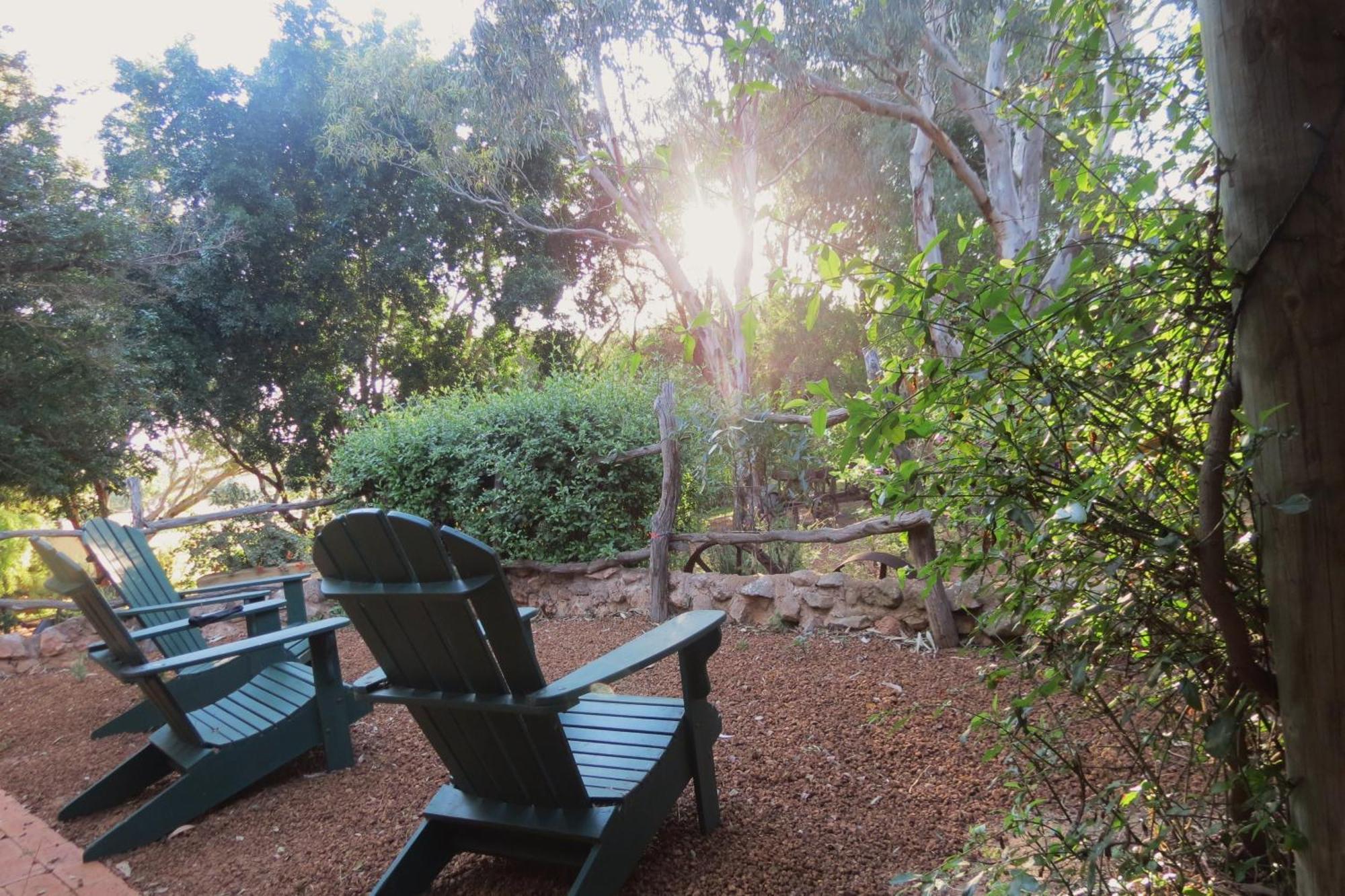 Bentwood Olive Grove Accommodation Greenough Oda fotoğraf