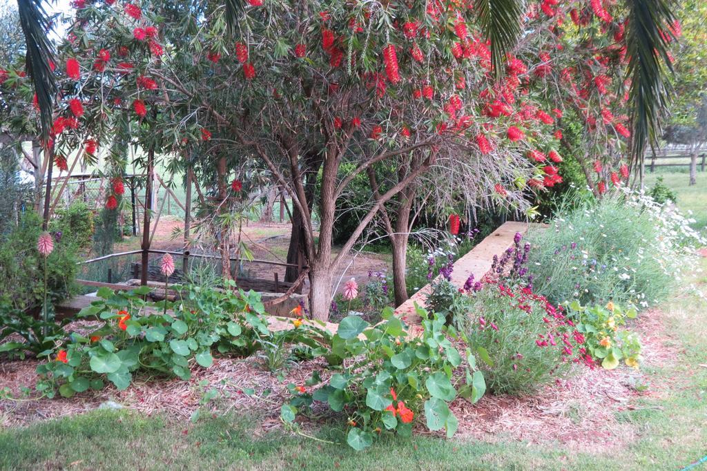 Bentwood Olive Grove Accommodation Greenough Oda fotoğraf